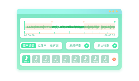 格式豐富，滿足所需